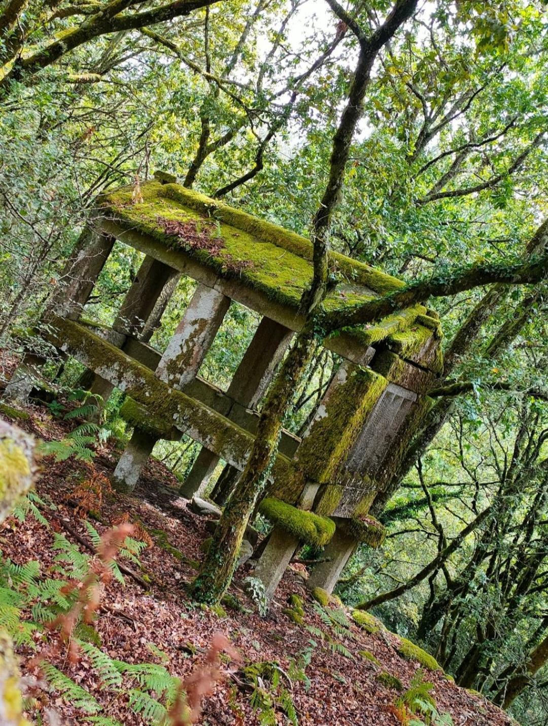 Casa Da Rapadoira Casa de hóspedes Laxoso de Abaixo Exterior foto
